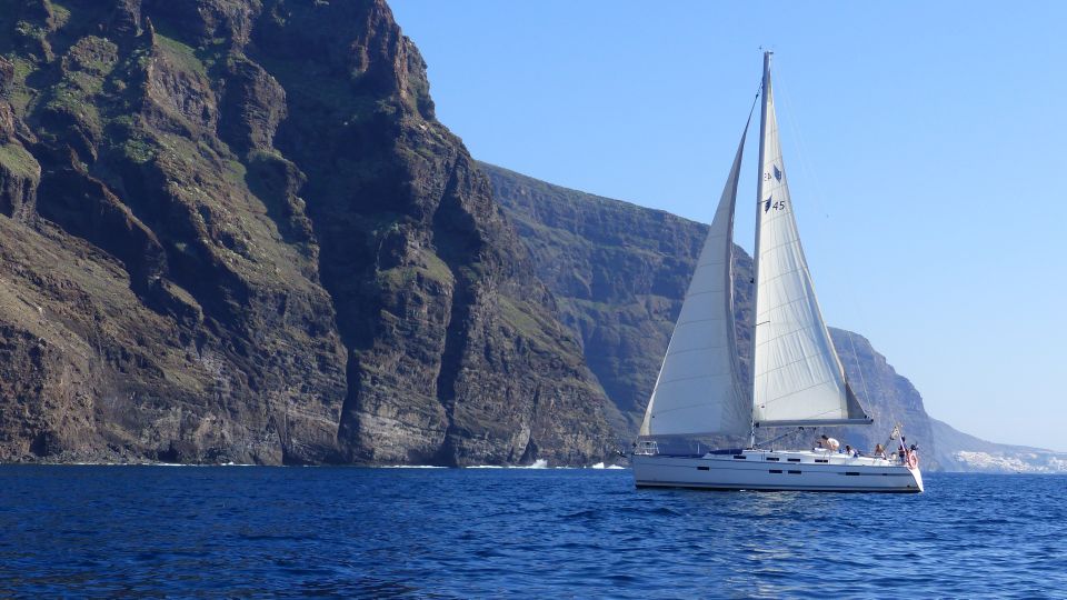 whale watching in los gigantes