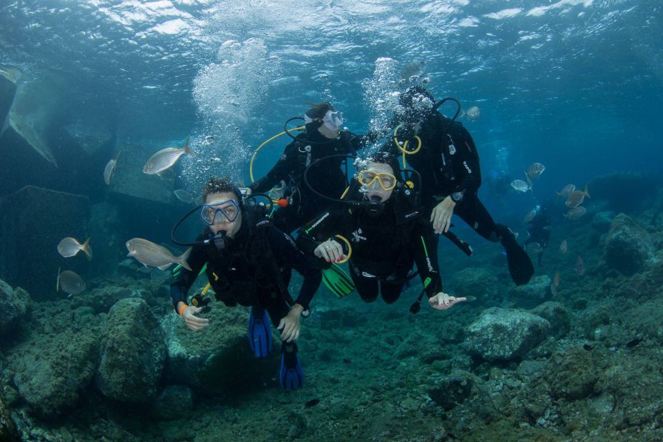 gran canaria diving