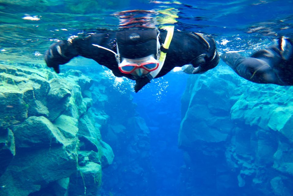 Las Canteras Beach snorkeling